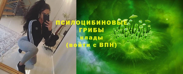 трава Елабуга
