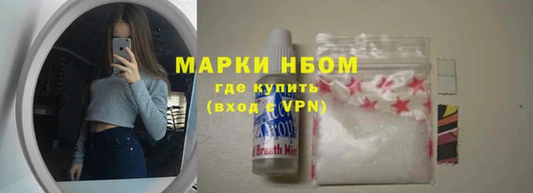 прущие крисы Ельня