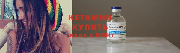 прущие крисы Ельня
