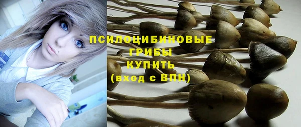 кокс Дмитровск