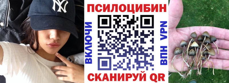 Галлюциногенные грибы Cubensis  Купить где  Омутнинск 